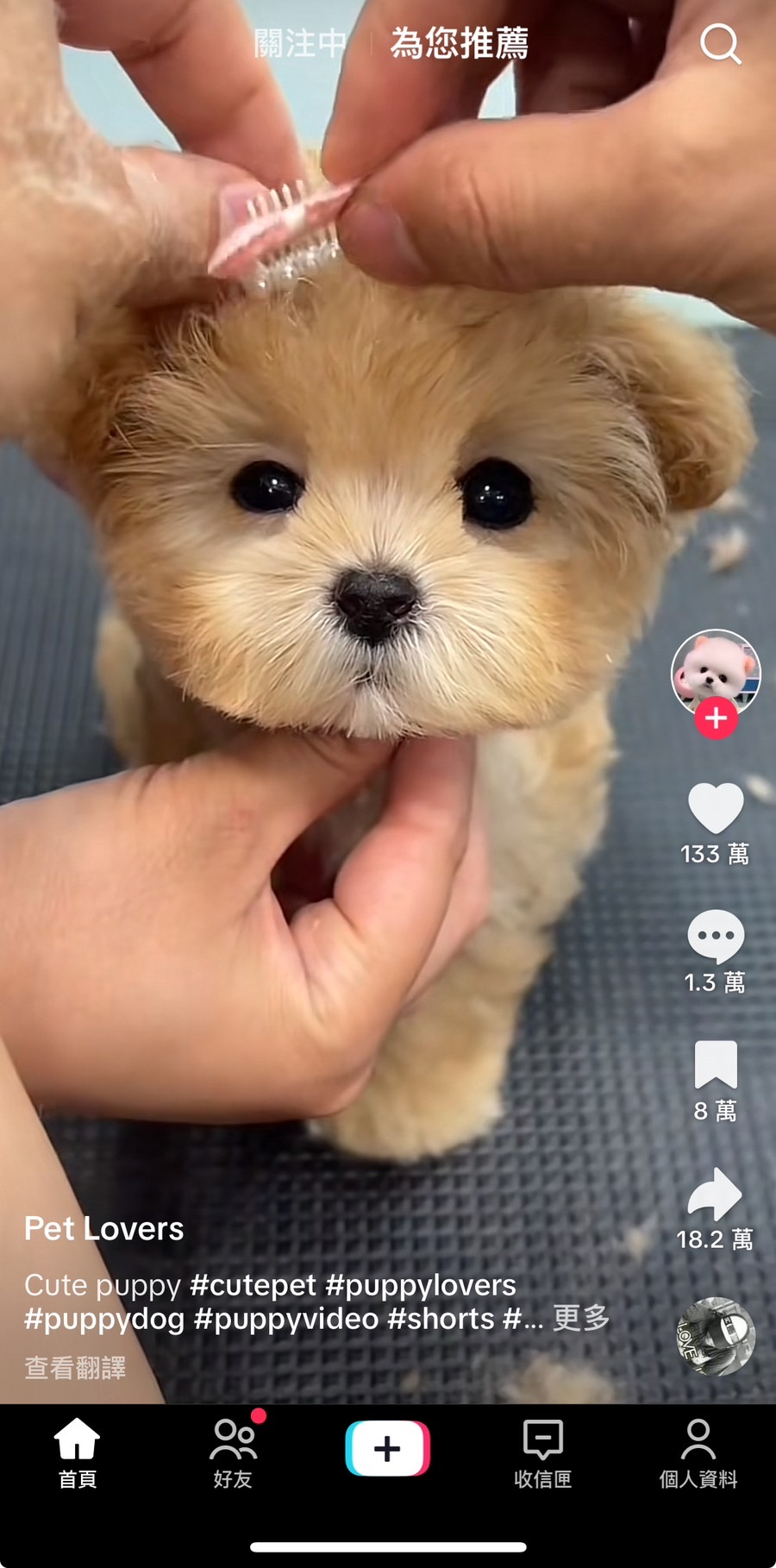 短影音平台 TikTok